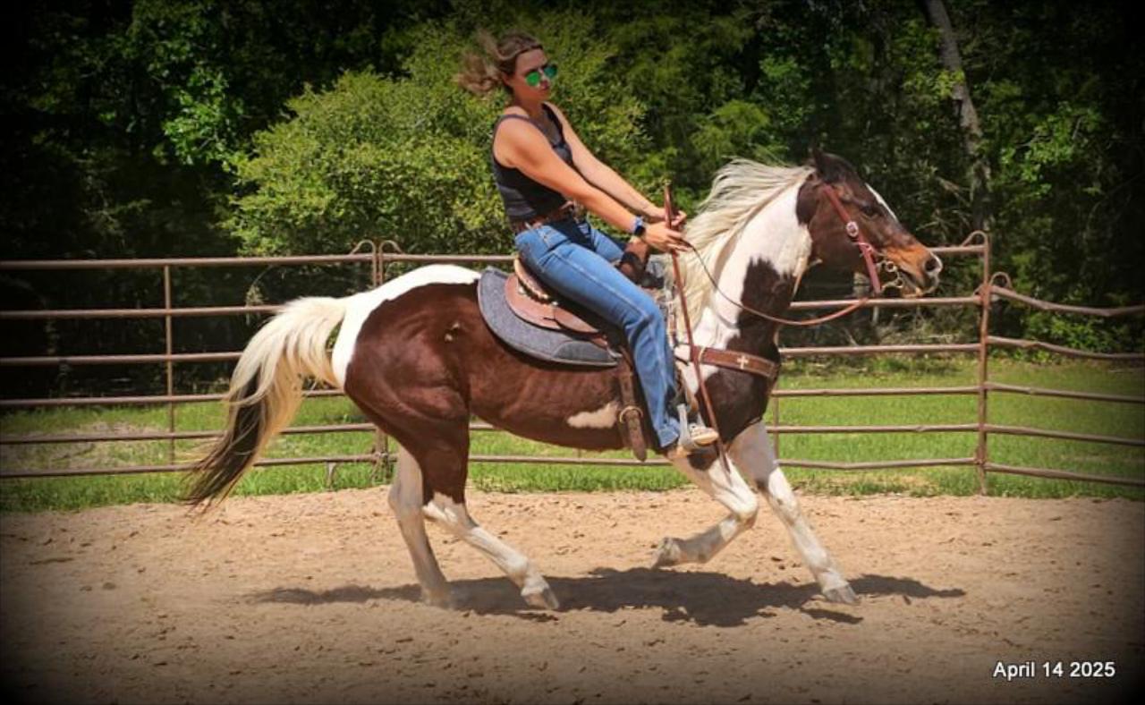 Montana – The Picture-Perfect Partner with All the Right Moves