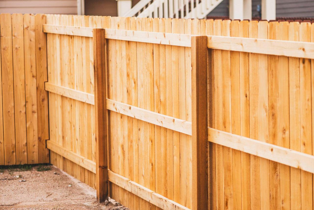 Deck & Fence Restoration