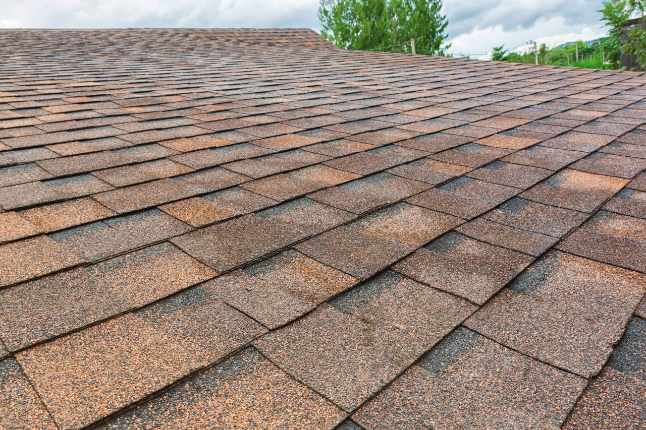 Roof Washing