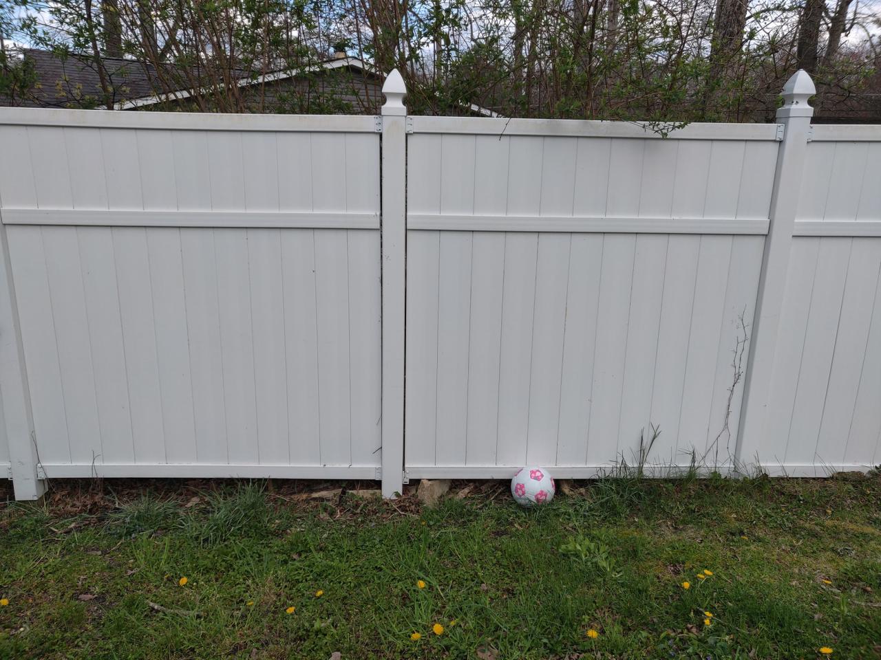 Deck & Fence Restoration