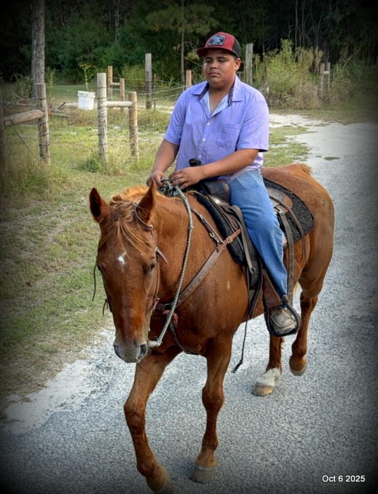 Biggie – Ranch-Tested, Family-Safe, and Ready to Ride!