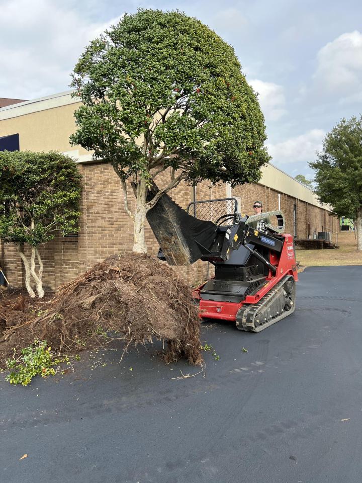 Tree Moving