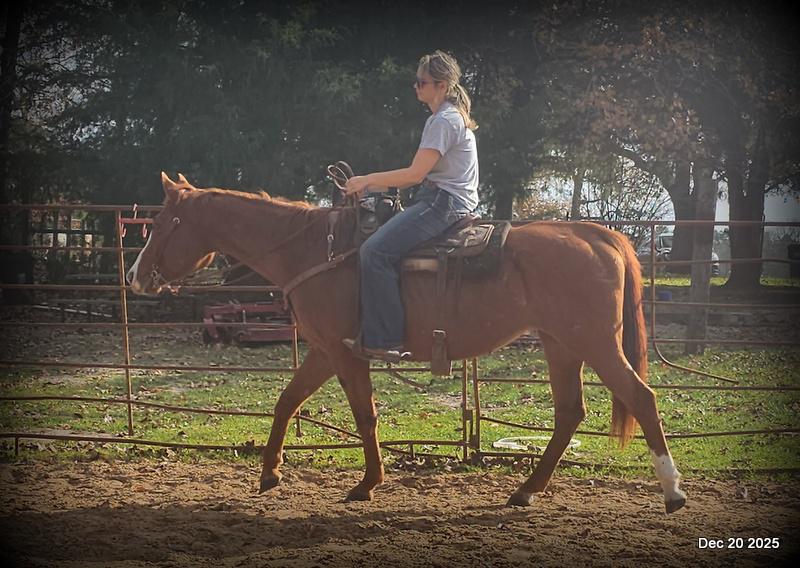 💚Shez Cool and Famous "Cool"💚