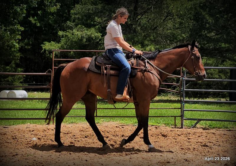 Darylslitlediablo (Diablo)