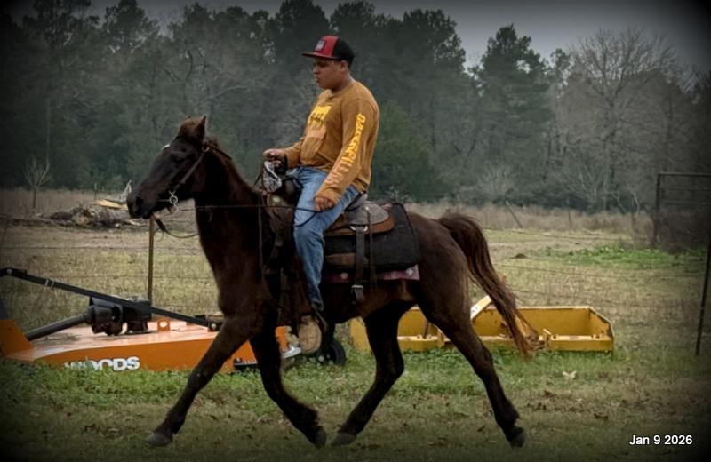 🩷❤️Pixie🩷❤️