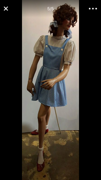 VINTAGE MANNEQUIN DOROTHY STYLE WIG AND COSTUME LOCAL PICKUP ONLY
