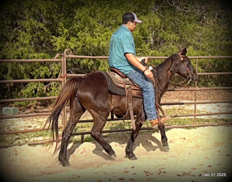 🩷❤️Pixie🩷❤️