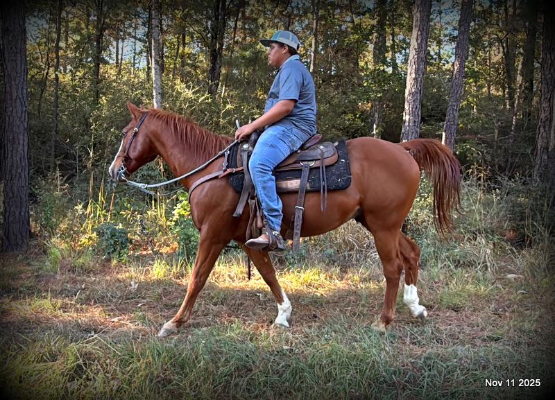 💚Ranger Safe for All Ages💚