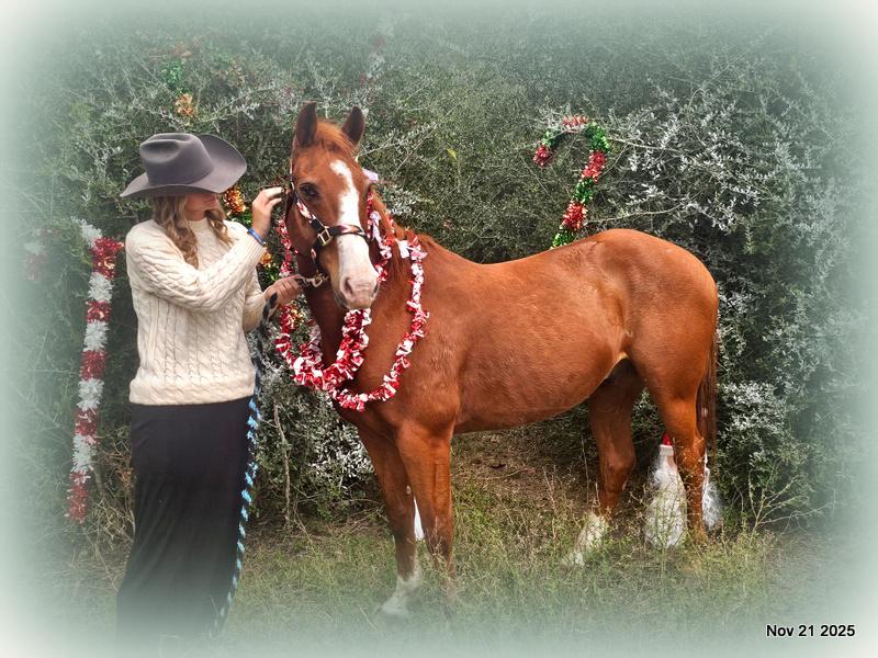 💚Ranger Safe for All Ages💚