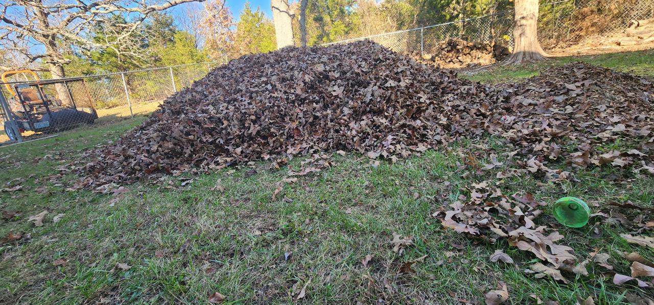 Leaf Removal 