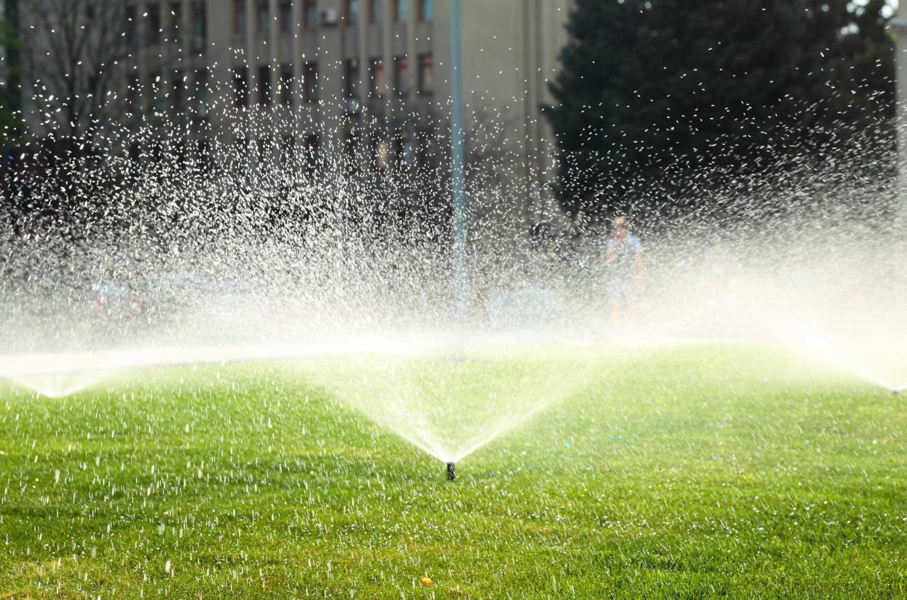 Sprinkler System Services 