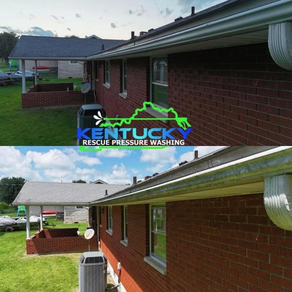 Gutter Cleaning