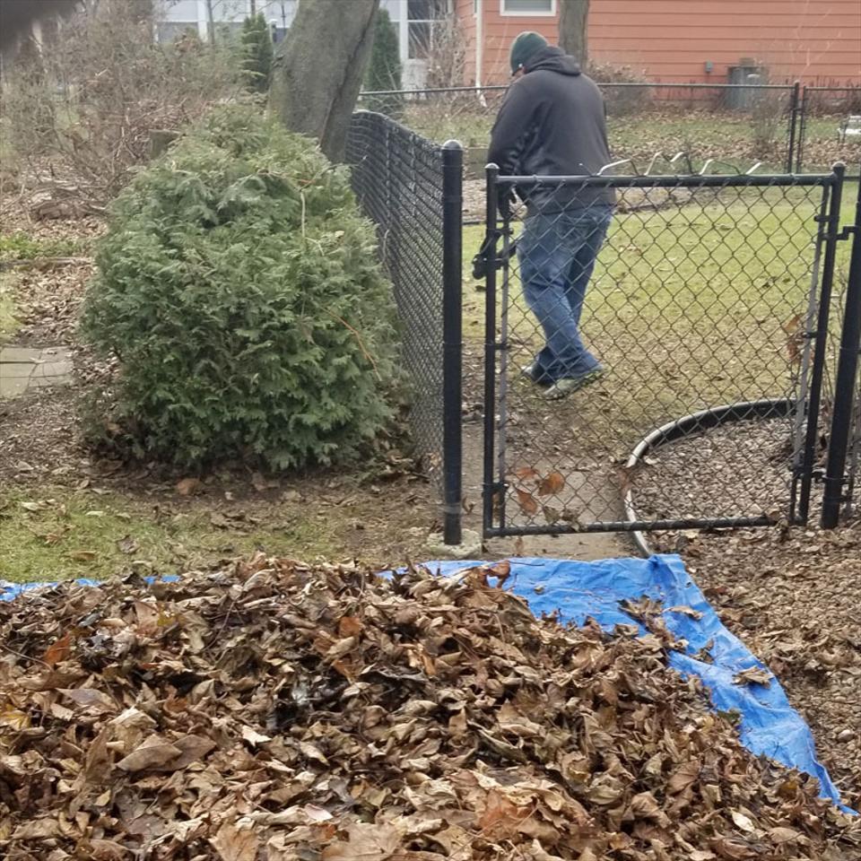 Leaf Clean-Up Services