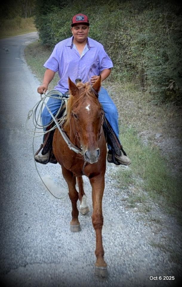 Biggie – Ranch-Tested, Family-Safe, and Ready to Ride!