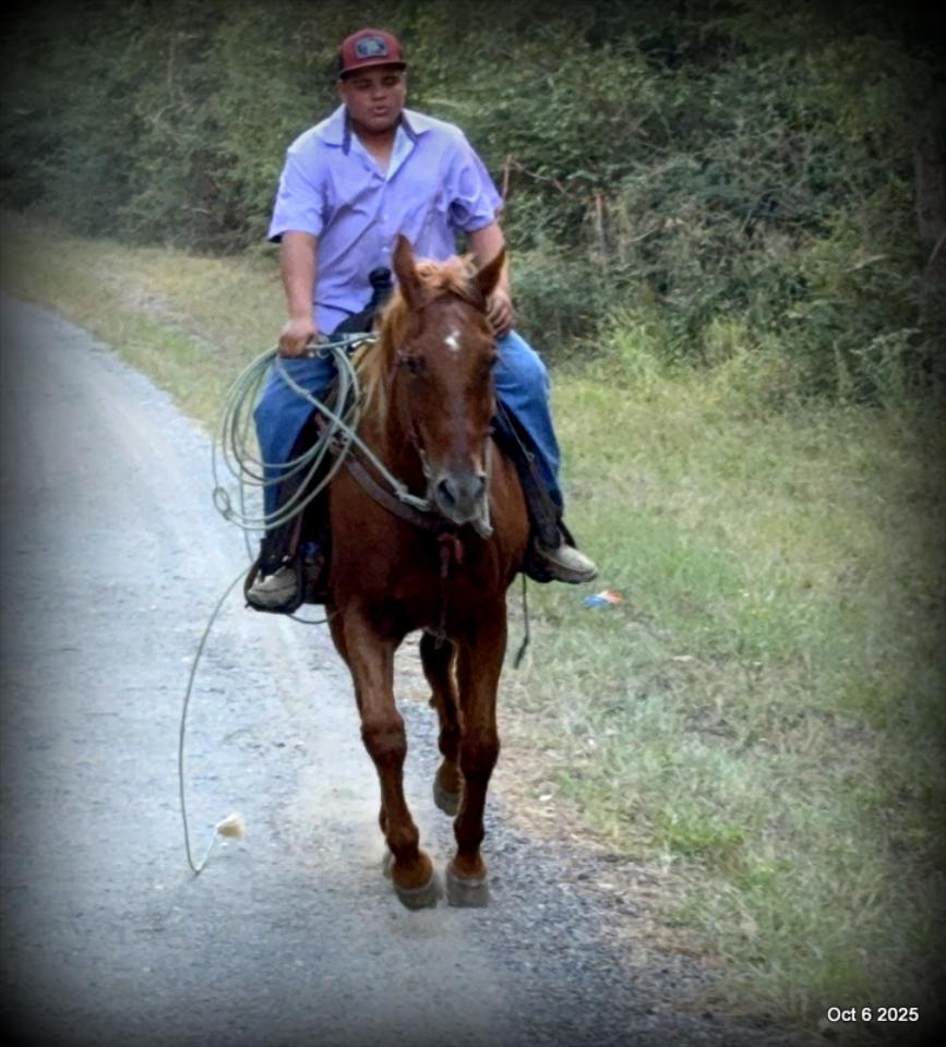 Biggie – Ranch-Tested, Family-Safe, and Ready to Ride!