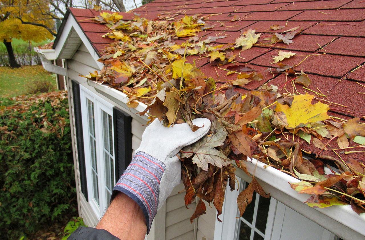 Gutter Cleaning &amp; Brightening