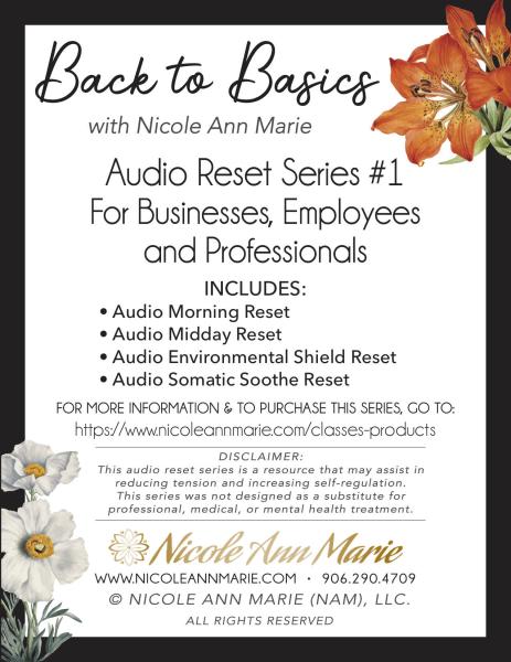 Back to Basics Audio Reset Series