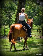 Smart Little Buzz AKA hawk