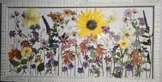 Wildflower Garden, Floating white frame