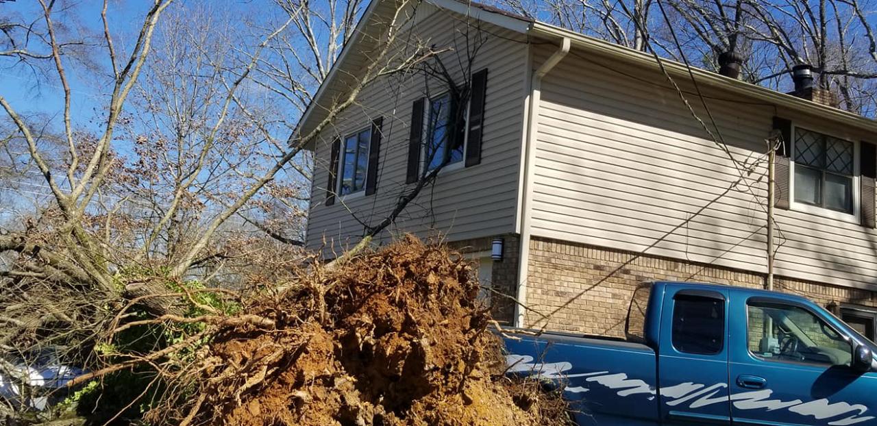 At Briscoe Tree Service, we are experts at storm damage removal. 