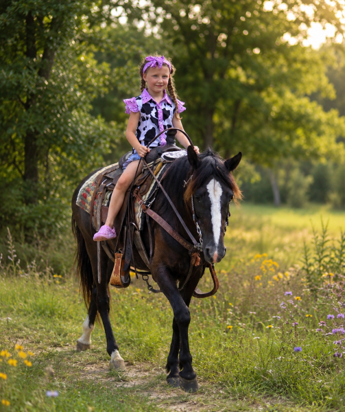💚Bugs Sweet Beginner Safe Mare • Gentle & Easy to Enjoy💚