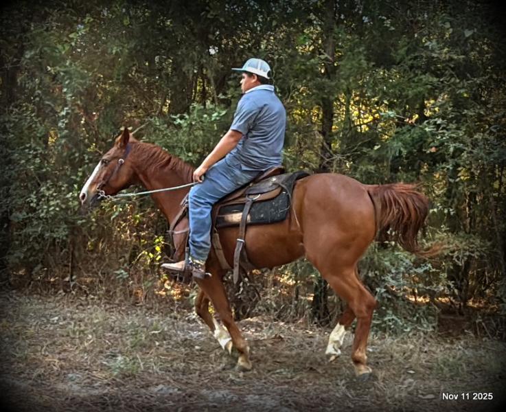 💚Ranger Safe for All Ages💚