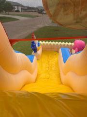 18' Funny Farm Slide (Wet/Dry)