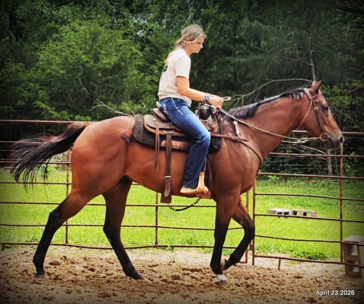 Darylslitlediablo (Diablo)