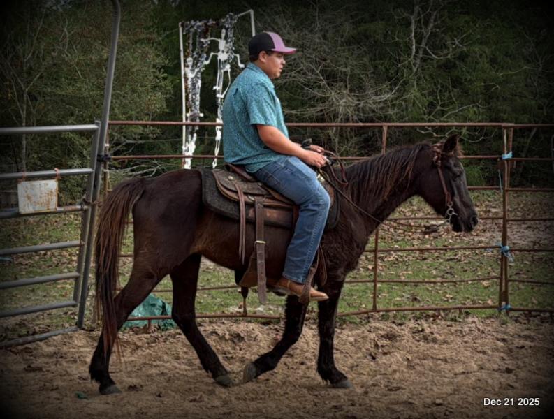 🩷❤️Pixie🩷❤️