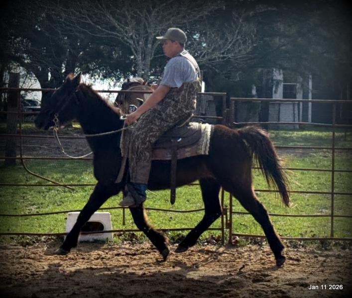 🩷❤️Pixie🩷❤️