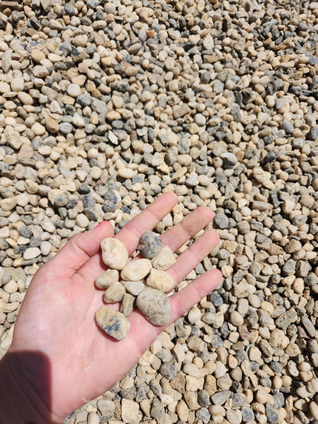 Salt & Pepper 3/4