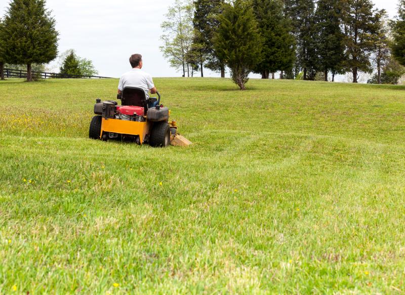 Lawn Mowing &amp; Trimming