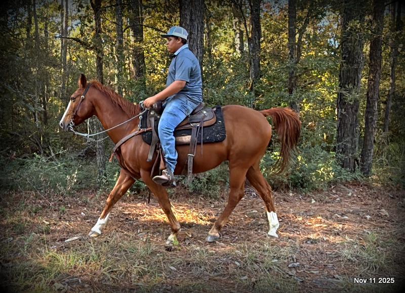 💚Ranger Safe for All Ages💚