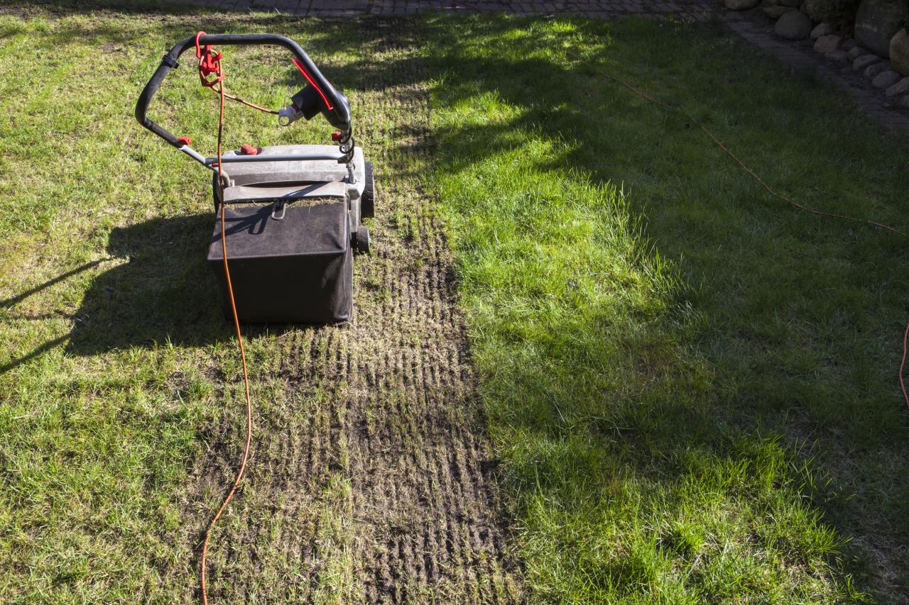 Dethatching &amp; Aeration&nbsp;