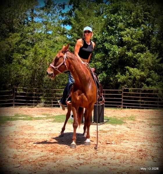❤️Mocha❤️Mare with a Story Still Being Written 🌟