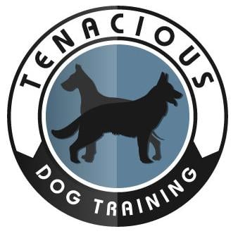 Tenacious Dog Training