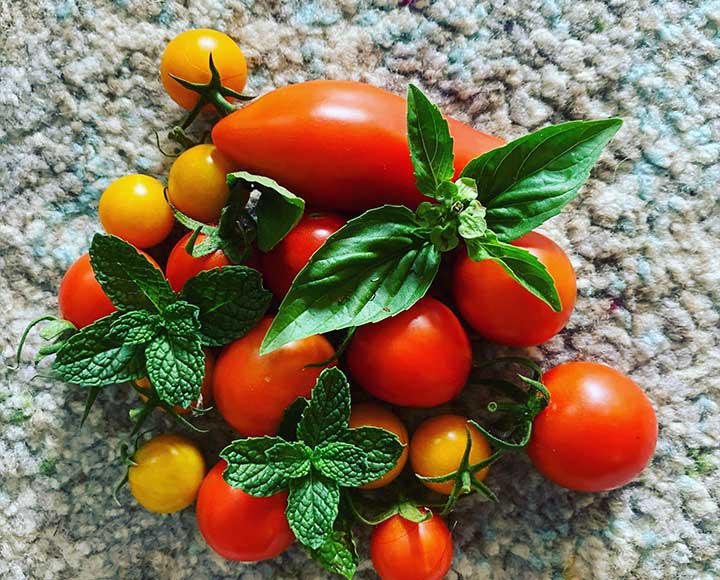 Personal Chef Meal Service 