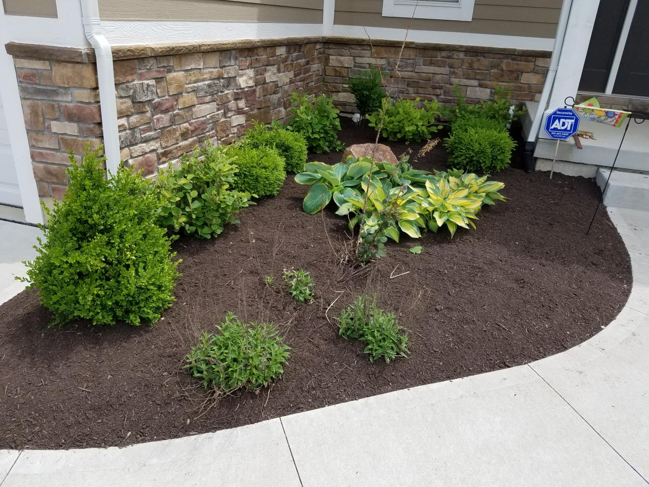 Landscape Design & Installation