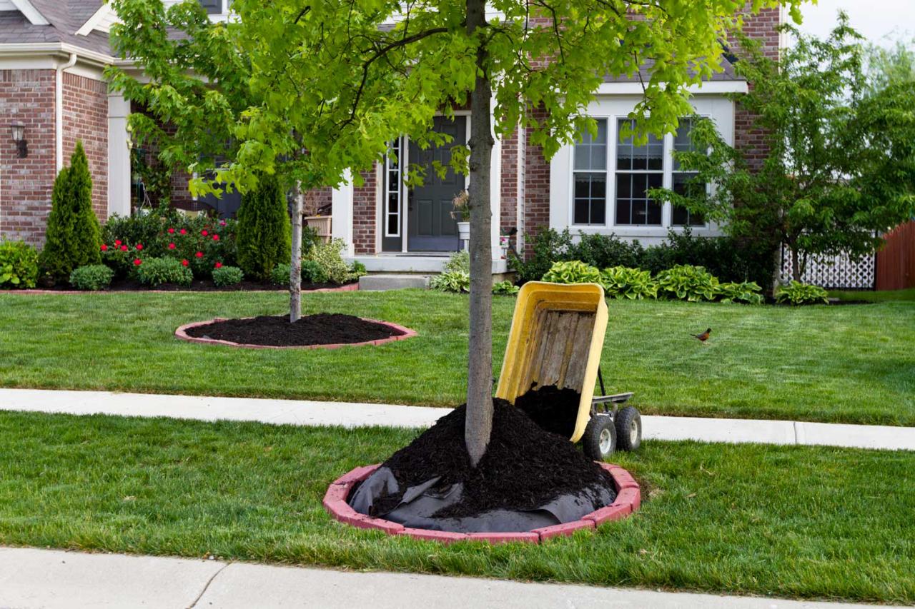Mulching and Mulch Installation