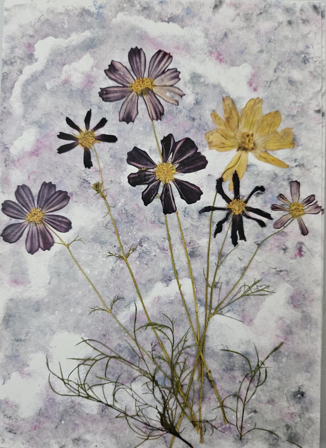 Jubilation Series 10 pack print cards