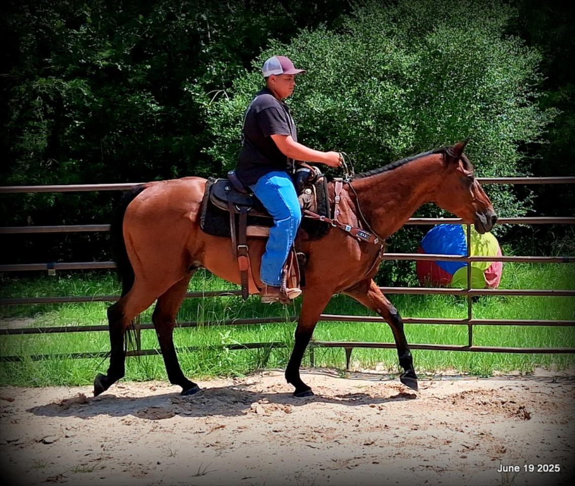 Sammy – A Comeback Story with a Heart of Gold