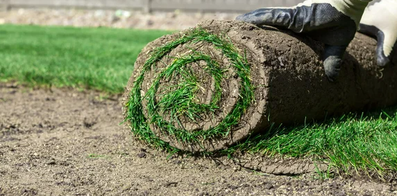 Sod Installation