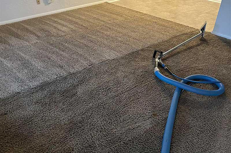 Carpet Cleaning