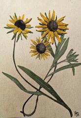 South Dakota Wildflower Series Cards 10 pack print cards