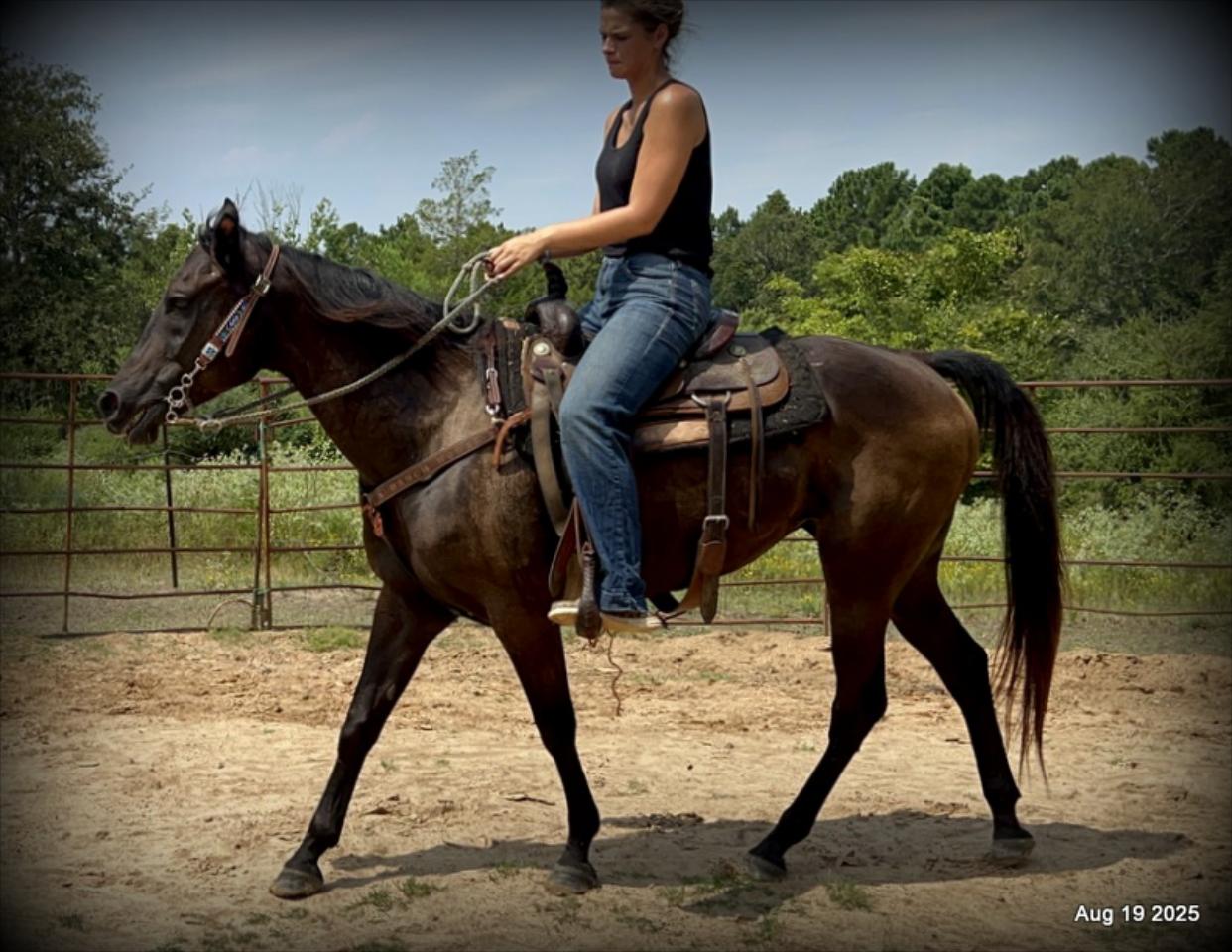 Shadow – The Sweetheart Everyone’s Looking For