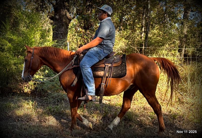 💚Ranger Safe for All Ages💚