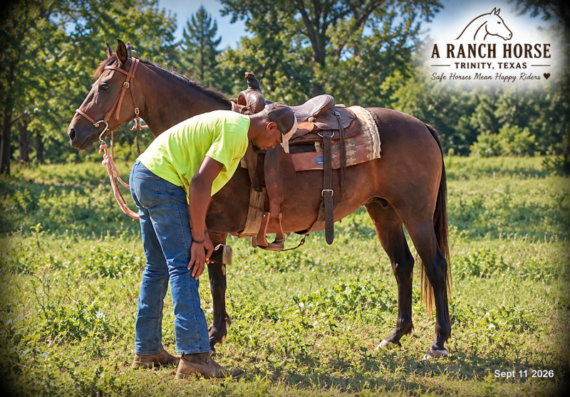 💚 Pop-tart Kid Safe & Family Safe Mare💚